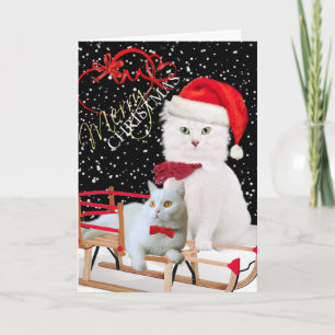 White Cat Merry Christmas Cards