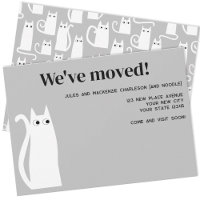 White Cat Moving New Home