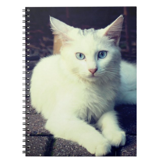 White cat notebook (Front)