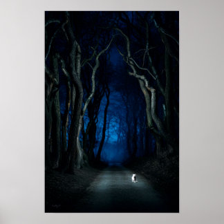 White Cat on Canopy Road at Night Poster Art Print