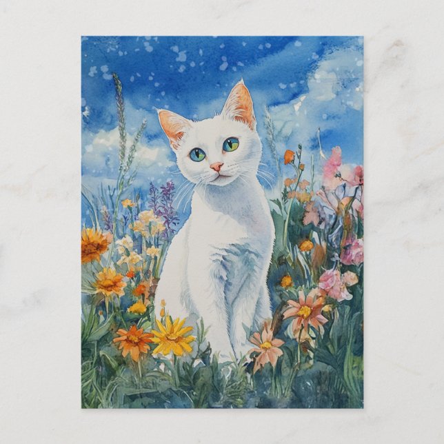 White Cat - Postcard (Front)