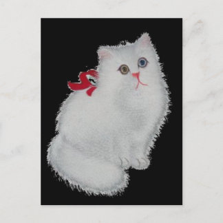 White Cat Postcard