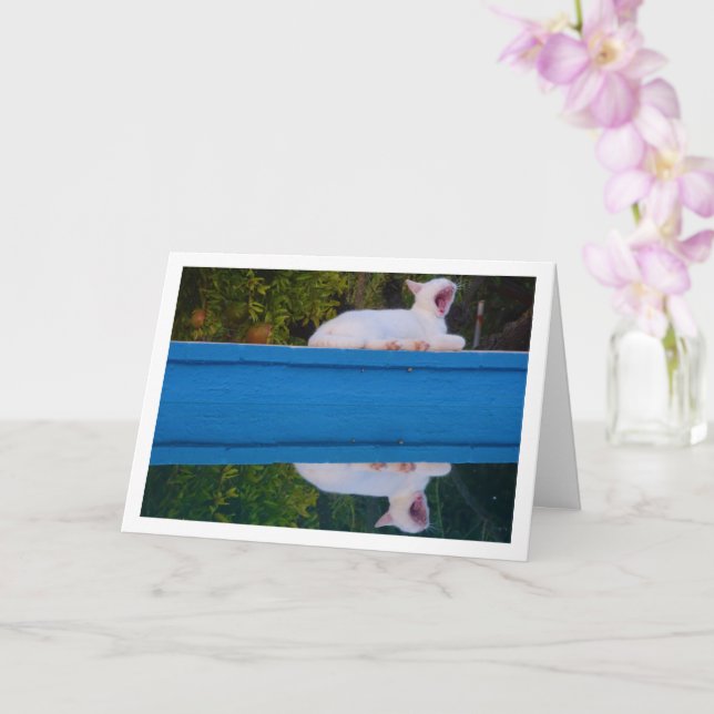 White Cat Reflection Card (Orchid)