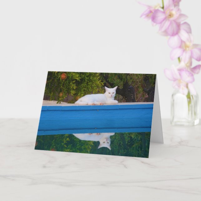 White Cat Reflection Card (Orchid)