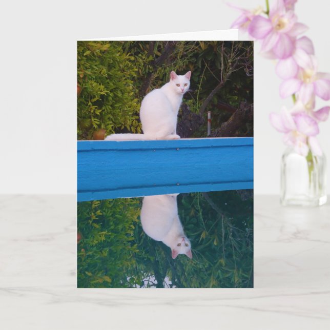 White Cat Reflection Portrait Card (Orchid)
