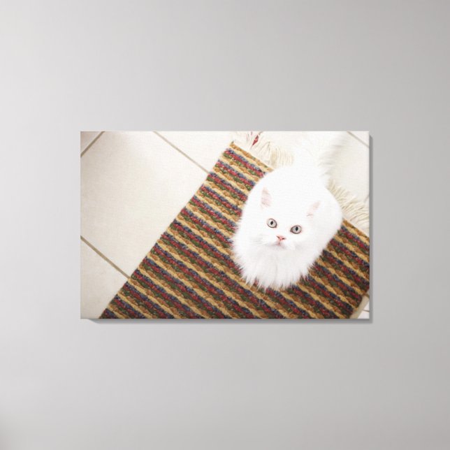 White cat sitting on mat canvas print (Front)