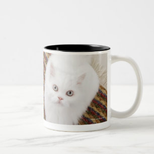 White cat sitting on mat Two-Tone coffee mug