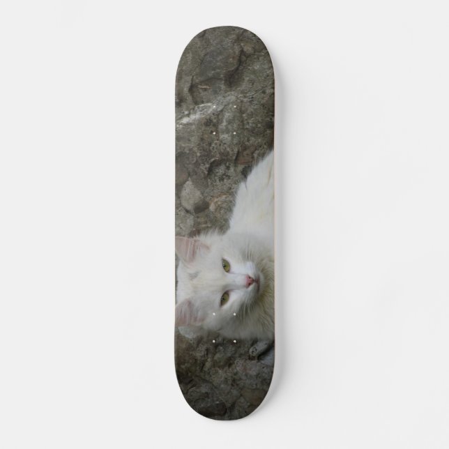 White Cat Skateboard (Front)