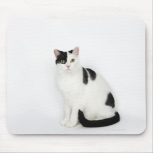 White cat with black spots mouse mat