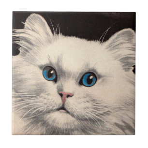 white cat with blue eyes tile