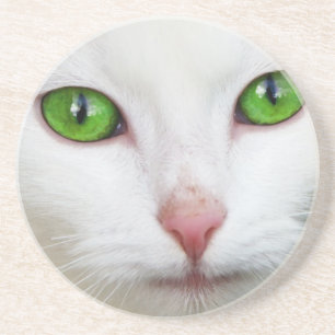 White Cat with Emerald Green Eyes Coaster