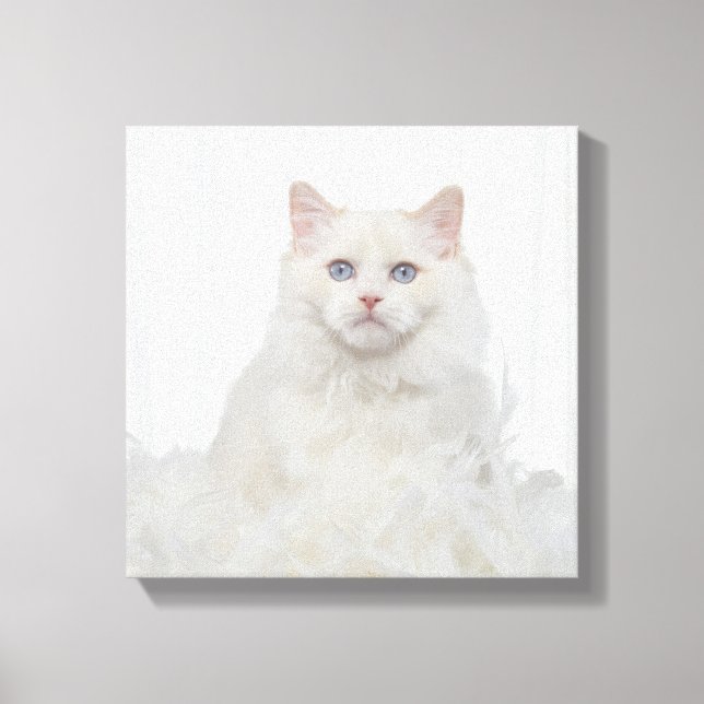 White Cat with Feathers Canvas Print (Front)