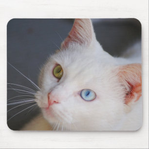 White cat with one green eye & one blue eye mouse mat