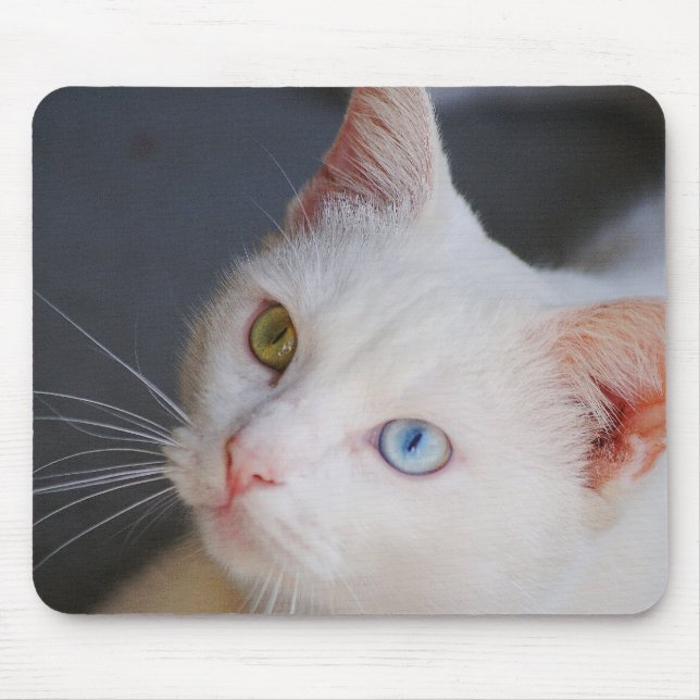 White cat with one green eye & one blue eye mouse mat (Front)