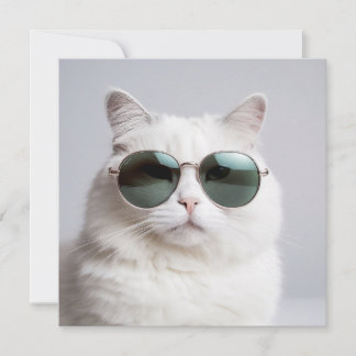 White cat with sunglasses, cool feline, lovely pet invitation