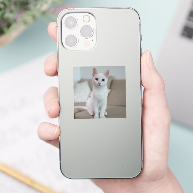 White cat | Zazzle_Growshop. (Phone)