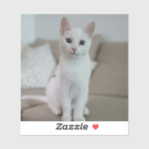 White cat   Zazzle_Growshop.