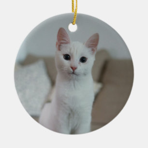 White cat   Zazzle_Growshop. Ceramic Tree Decoration