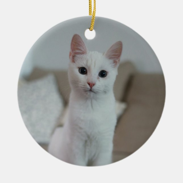 White cat | Zazzle_Growshop. Ceramic Tree Decoration (Front)