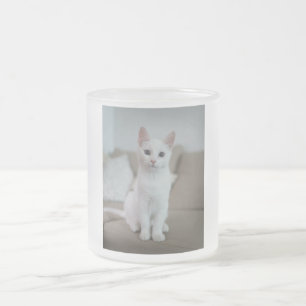White cat   Zazzle_Growshop. Frosted Glass Coffee Mug