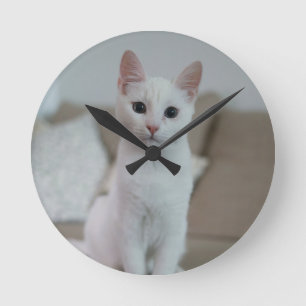 White cat   Zazzle_Growshop. Round Clock