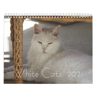 White Cats  2021 Calendar