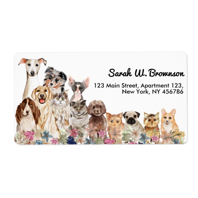 White Cats Dogs Pet Vet (Front)