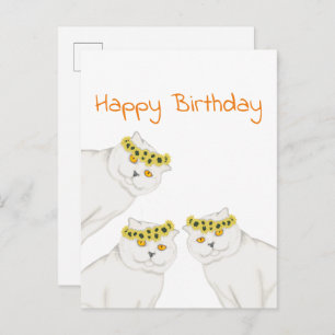 White cats Happy Birthday Postcard