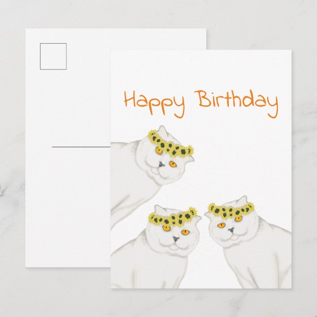 White cats Happy Birthday Postcard (Front/Back)