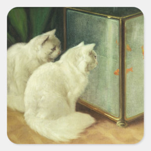 White Cats Watching Goldfish Square Sticker