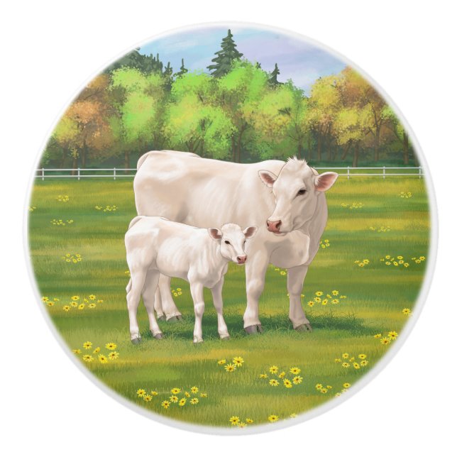 White Charolais Cow & Cute Calf Beef Cattle Ceramic Knob (Front)