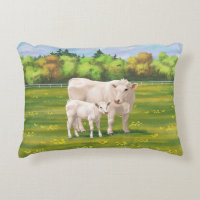 White Charolais Cow & Cute Calf Beef Cattle