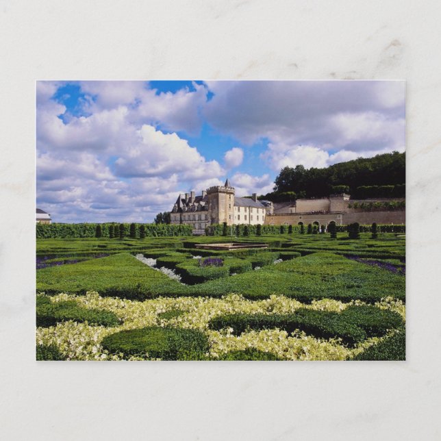white Chateau de Villandry, Loire Region, France f Postcard (Front)