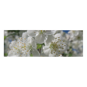 white cherry blossom in spring against a blue sky name tag