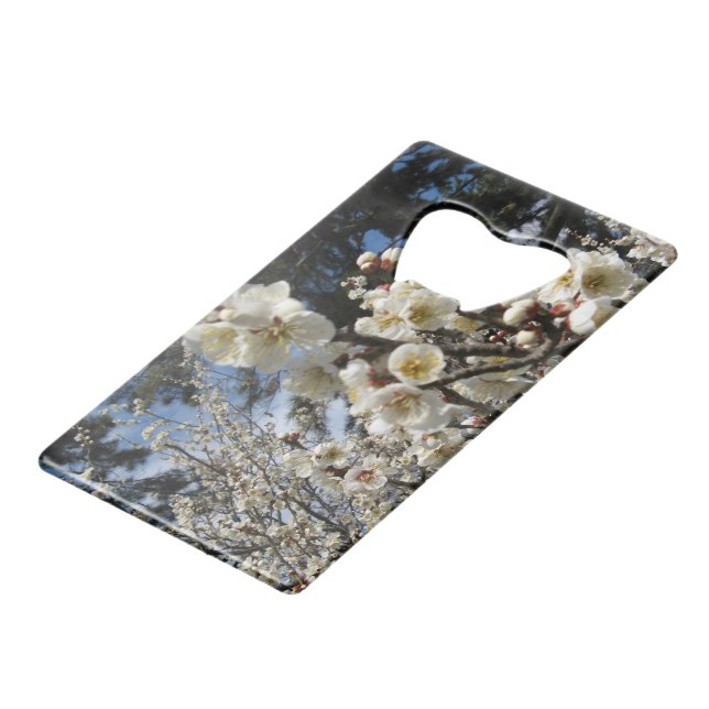 White Cherry Blossom / Sakura / サクラ（桜） (Front Angled)