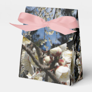 White Cherry Blossom / Sakura / サクラ(桜) Favour Box