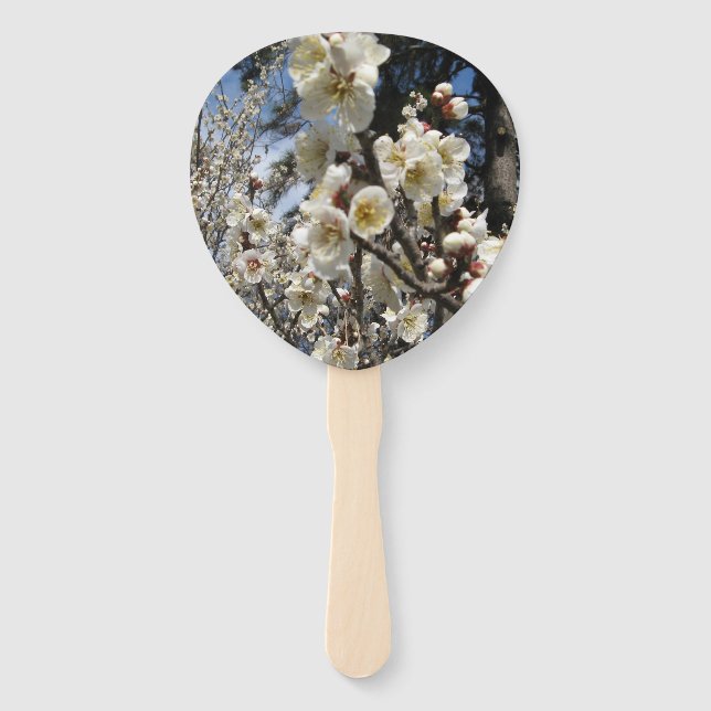White Cherry Blossom / Sakura / サクラ（桜） Hand Fan (Front)