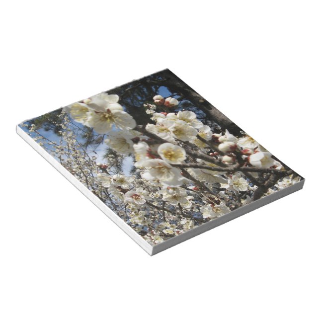 White Cherry Blossom / Sakura / サクラ（桜） Notepad (Angled)