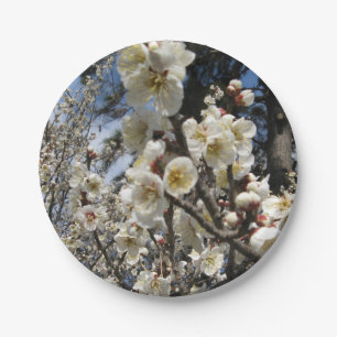 White Cherry Blossom / Sakura / サクラ(桜) Paper Plate