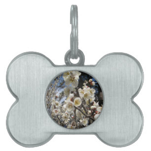 White Cherry Blossom / Sakura / サクラ(桜) Pet Tag