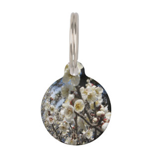 White Cherry Blossom / Sakura / サクラ(桜) Pet Tag