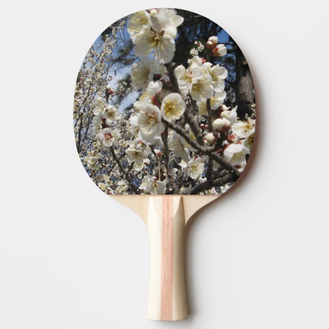 White Cherry Blossom / Sakura / サクラ（桜） Ping Pong Paddle (Front)