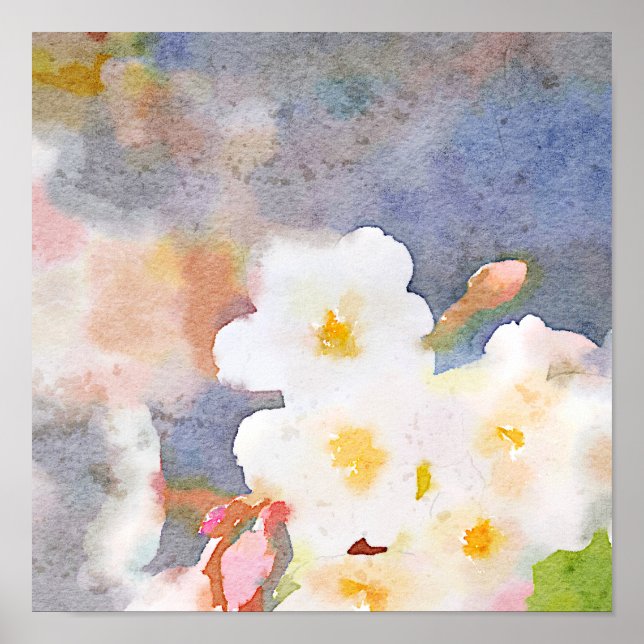 White Cherry Blossoms Digital Watercolor Painting Poster (Front)