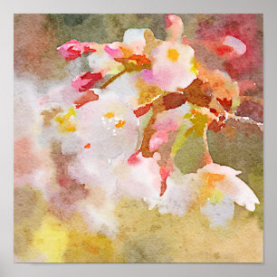 White Cherry Blossoms Digital Watercolor Painting Poster