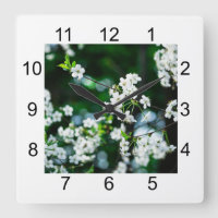 White Cherry Blossoms Green Leaves