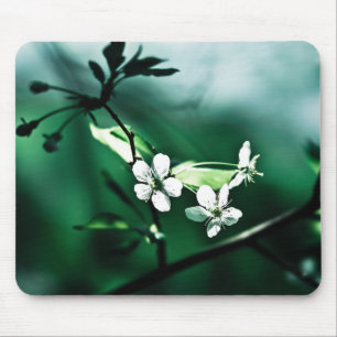 White Cherry Blossoms Mouse Mat
