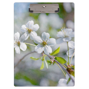 White Cherry Flower Clipboard
