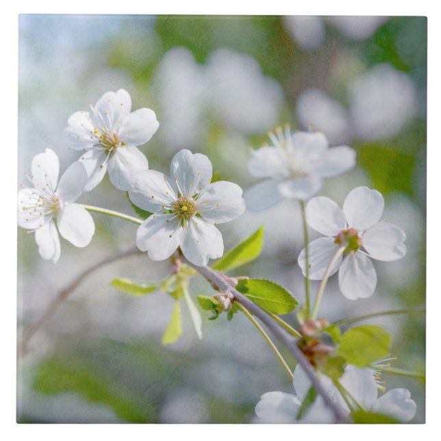White Cherry Flower Tile (Front)