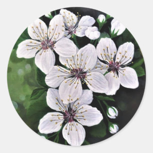 White Cherry Flowers Art In Acrylic Classic Round Sticker
