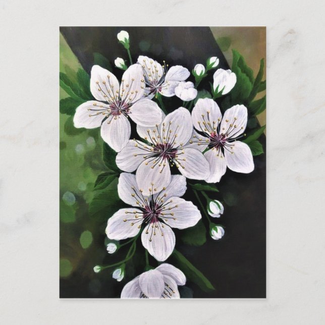 White Cherry Flowers Art In Acrylic Postcard (Front)